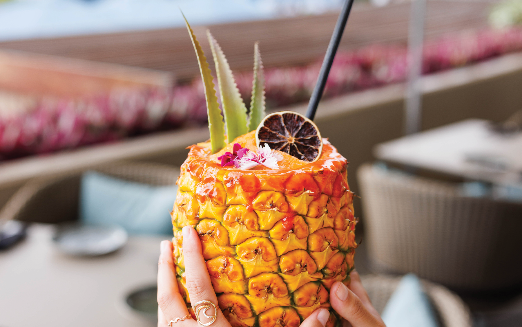 PINEAPPLE_02